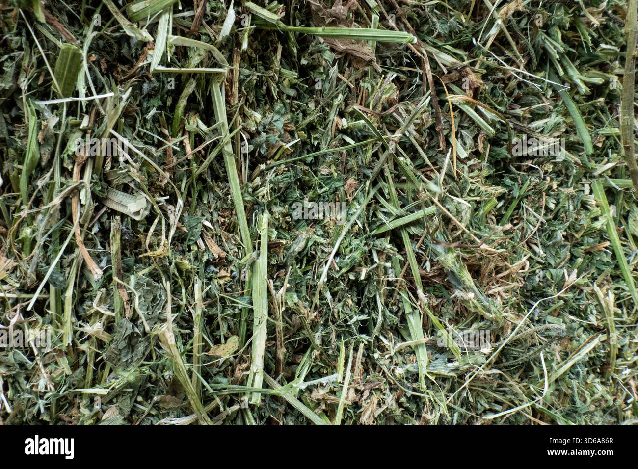 Texture plein cadre détaillée de foin séché, d'herbe et d'herbes, adaptée comme arrière-plan ou pour illustrer l'alimentation animale et l'agriculture. Banque D'Images