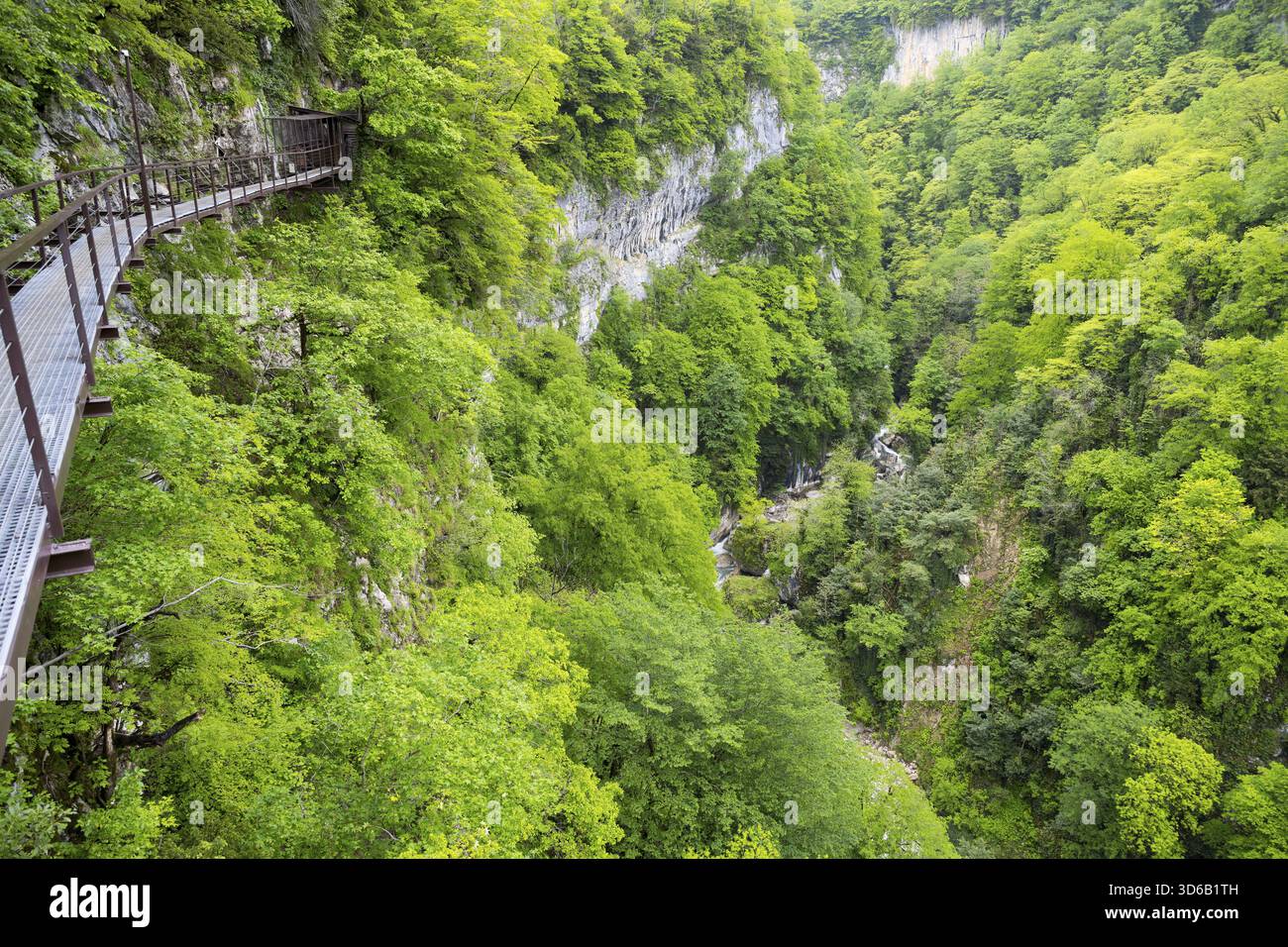Passerelle en métal dans une gorge de forêt avec des arbres verts luxuriants, gorge Okatse, canyon, région d'Imereti, Imereti, Géorgie Banque D'Images