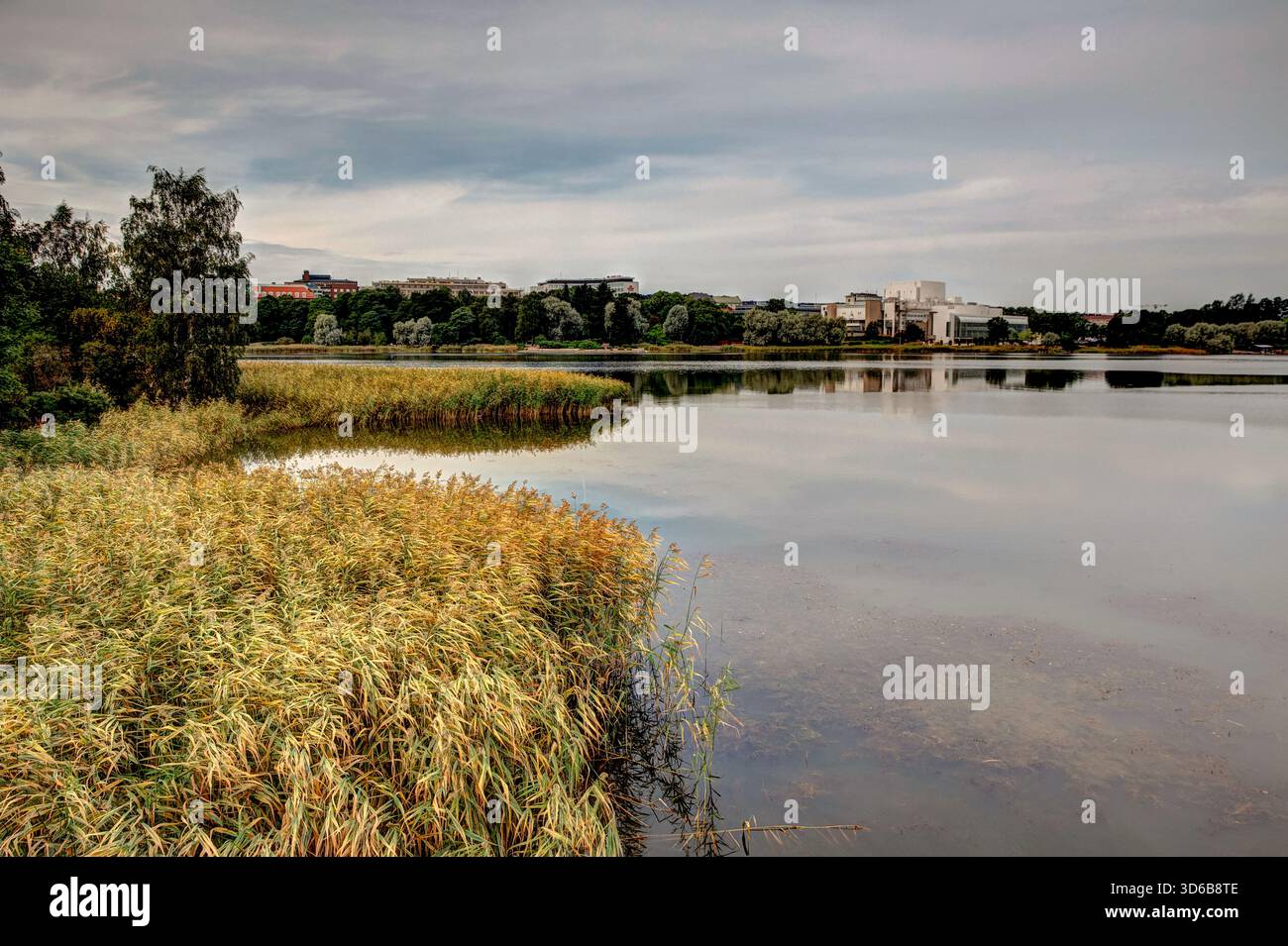 Reflets à l'étang Tammilampi à Helsinki avec la façade en marbre blanc de Finlandia Hall (par l'architecte Alvar Aalto) visible au-delà des roseaux. Banque D'Images