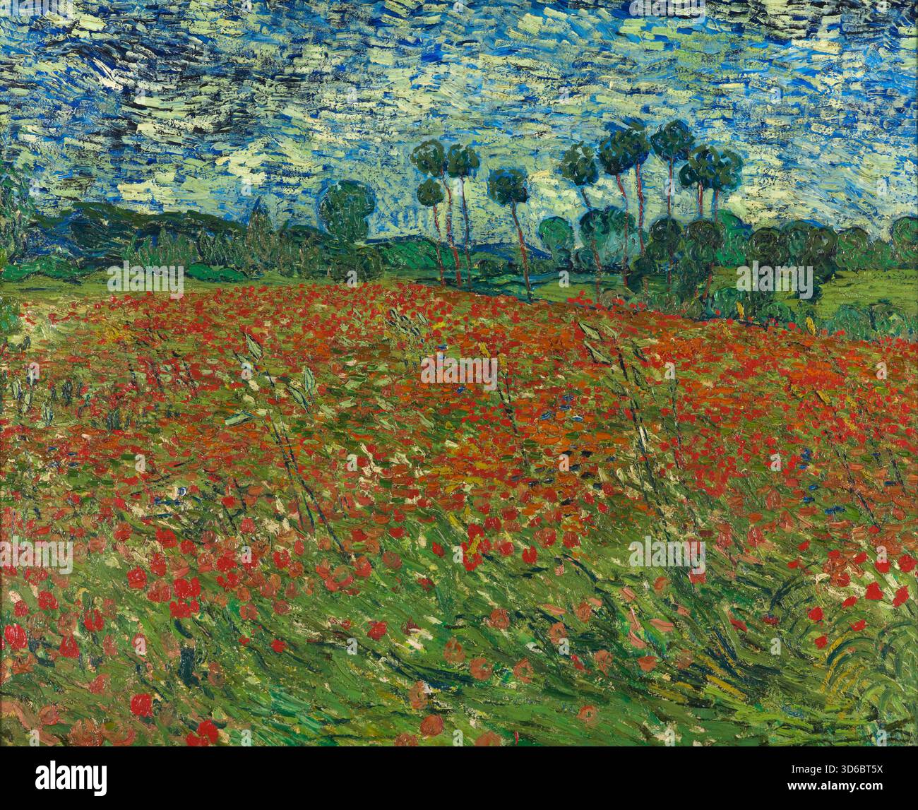 'Champ de coquelicots. Vincent van Gogh (néerlandais, 1853-1890)' Banque D'Images