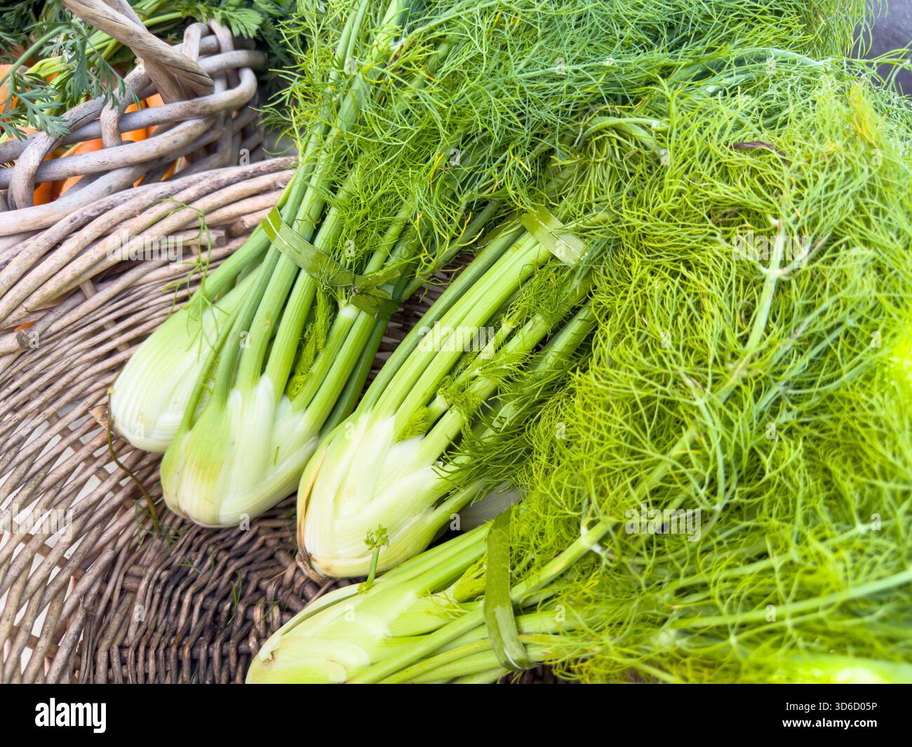Une vue d'un panier plein de fenouil, exposé sur un marché fermier local. Banque D'Images