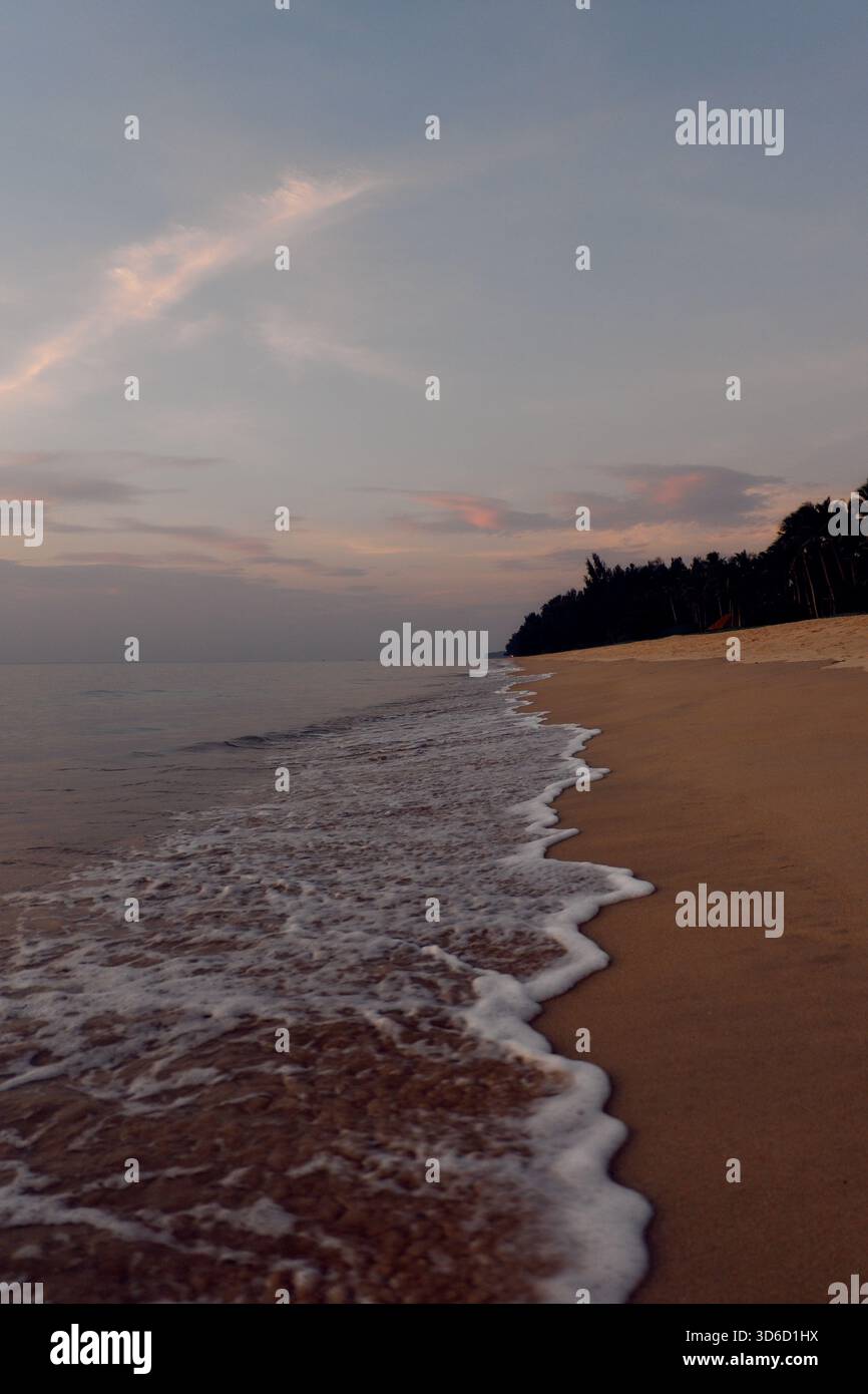 Les vagues douces de l'océan se baignent doucement sur un rivage de sable lisse, invitant à la détente et à la réflexion tranquille dans un paradis côtier tropical. Banque D'Images