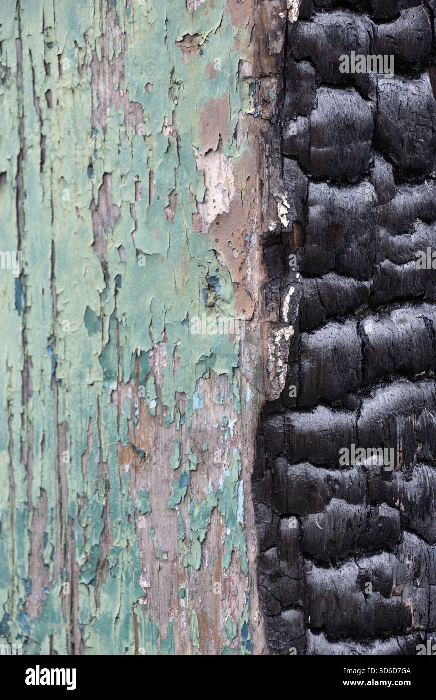 Peinture verte pelable et poteau en bois noir brûlé Banque D'Images