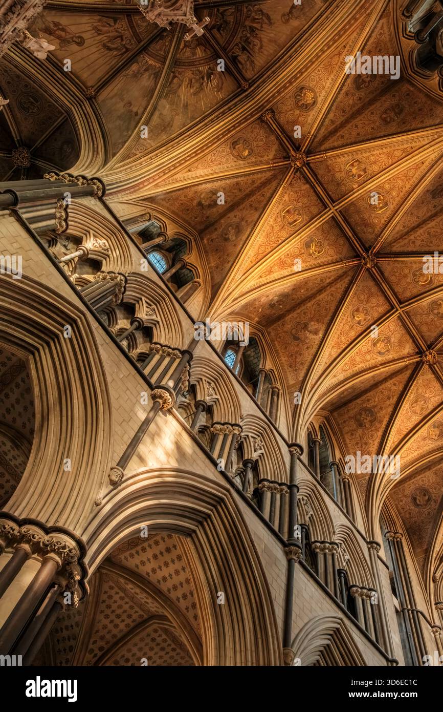 Worcester, Worcestershire - le magnifique plafond voûté de la chapelle de la cathédrale de Worcester. Cathédrale de Worcester, anciennement Churc de la cathédrale Banque D'Images
