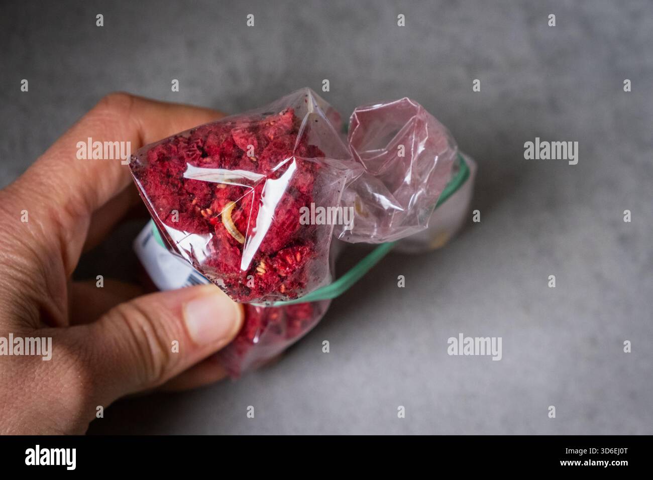 Vérification manuelle d'un paquet de fruits séchés avec des larves visibles de mites alimentaires, illustrant l'inspection de routine des aliments, la sensibilisation à la contamination par les ravageurs et la qualité Banque D'Images