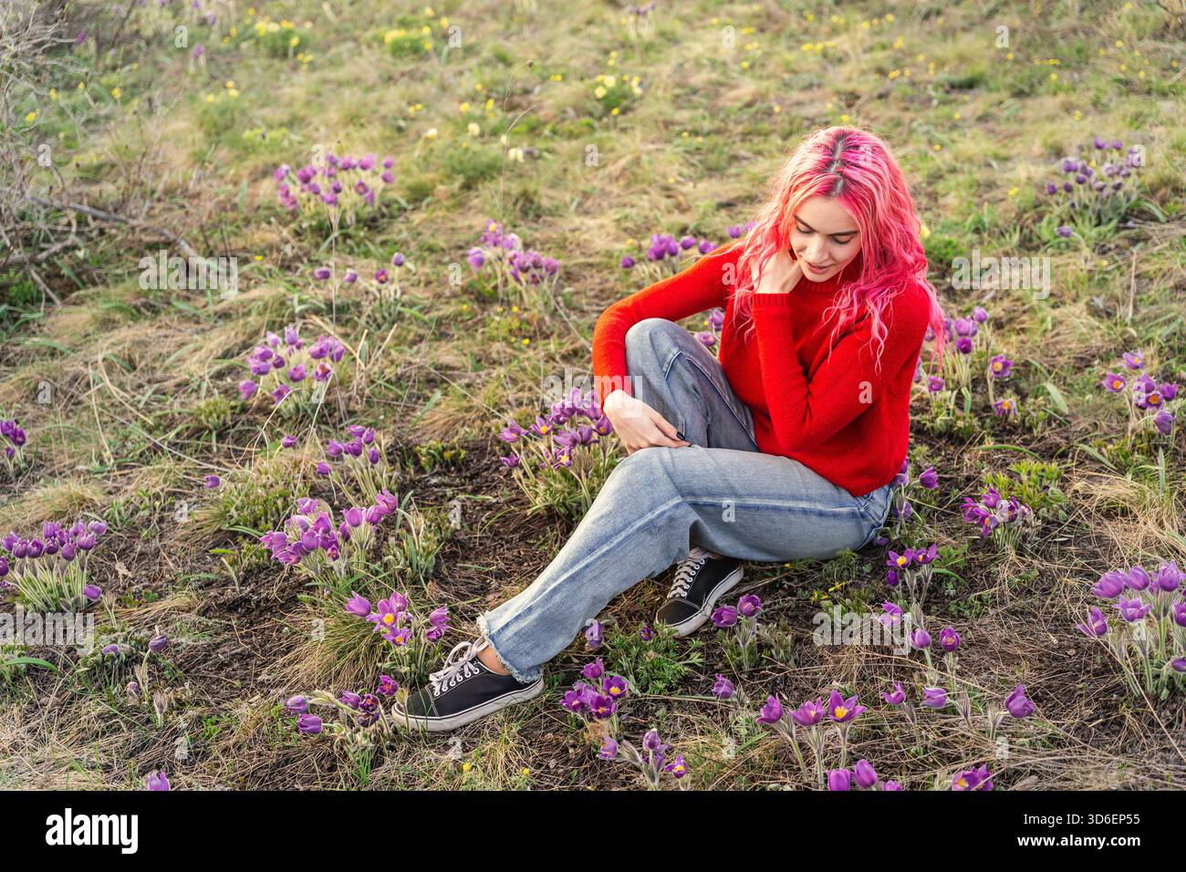 Une jeune femme aux cheveux roses éclatants est assise paisiblement parmi les fleurs violettes dans un cadre naturel, portant un pull rouge et un Jean, exsudant un sentiment de tr Banque D'Images