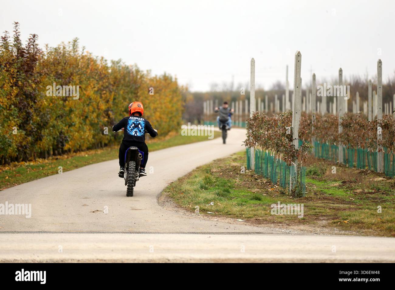 Motocyclistes en terre battue sur Autumn Orchard Path Banque D'Images