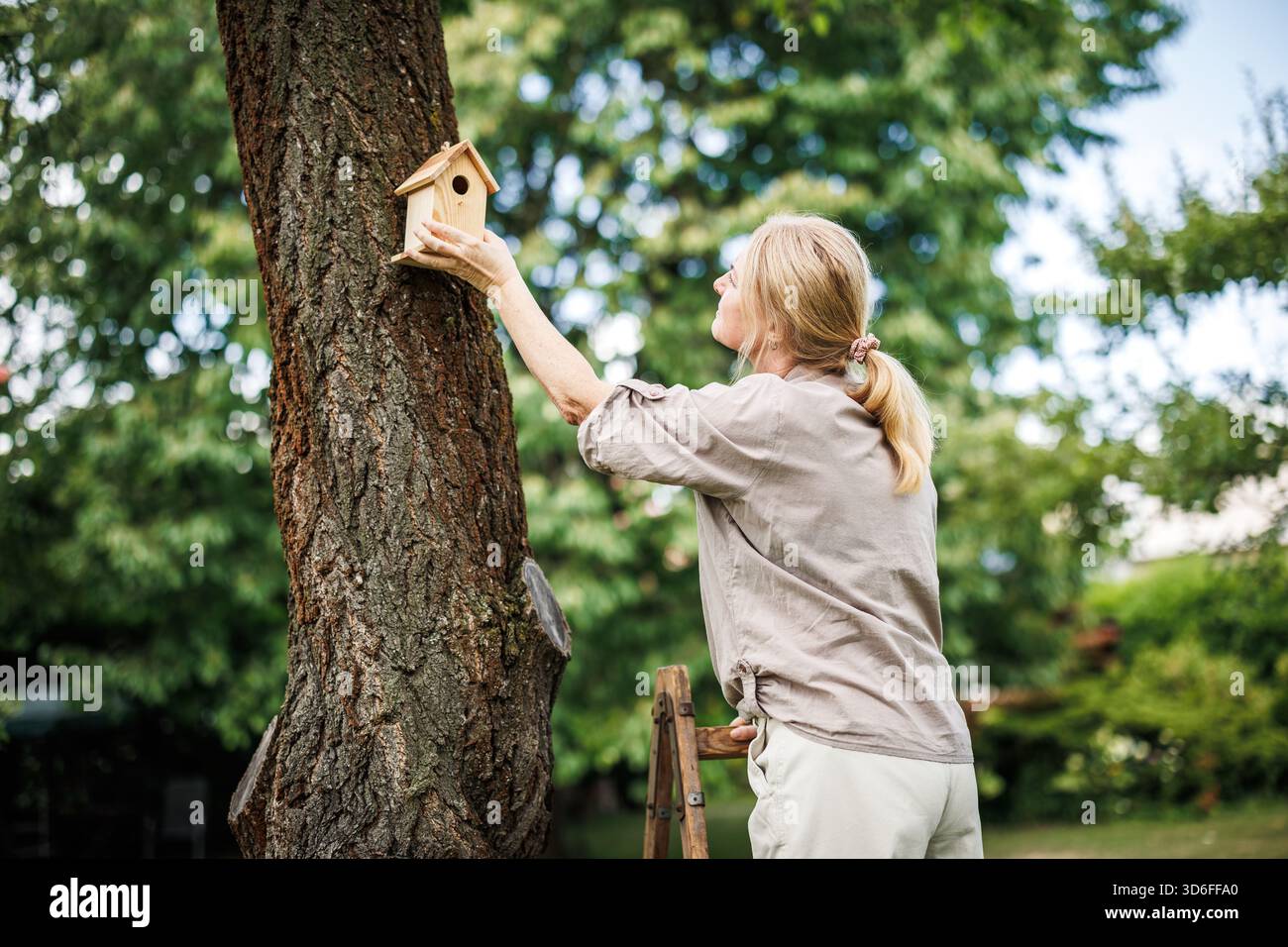 Femme suspendant le nichoir sur l'arbre dans le jardin de l'arrière-cour, soutenant la nidification et la protection des oiseaux Banque D'Images