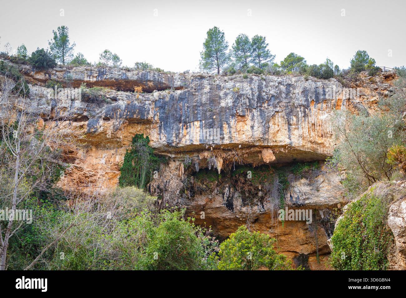 Une végétation luxuriante prospère au milieu de formations rocheuses saisissantes, mettant en valeur la beauté de la nature par une journée ensoleillée. Banque D'Images