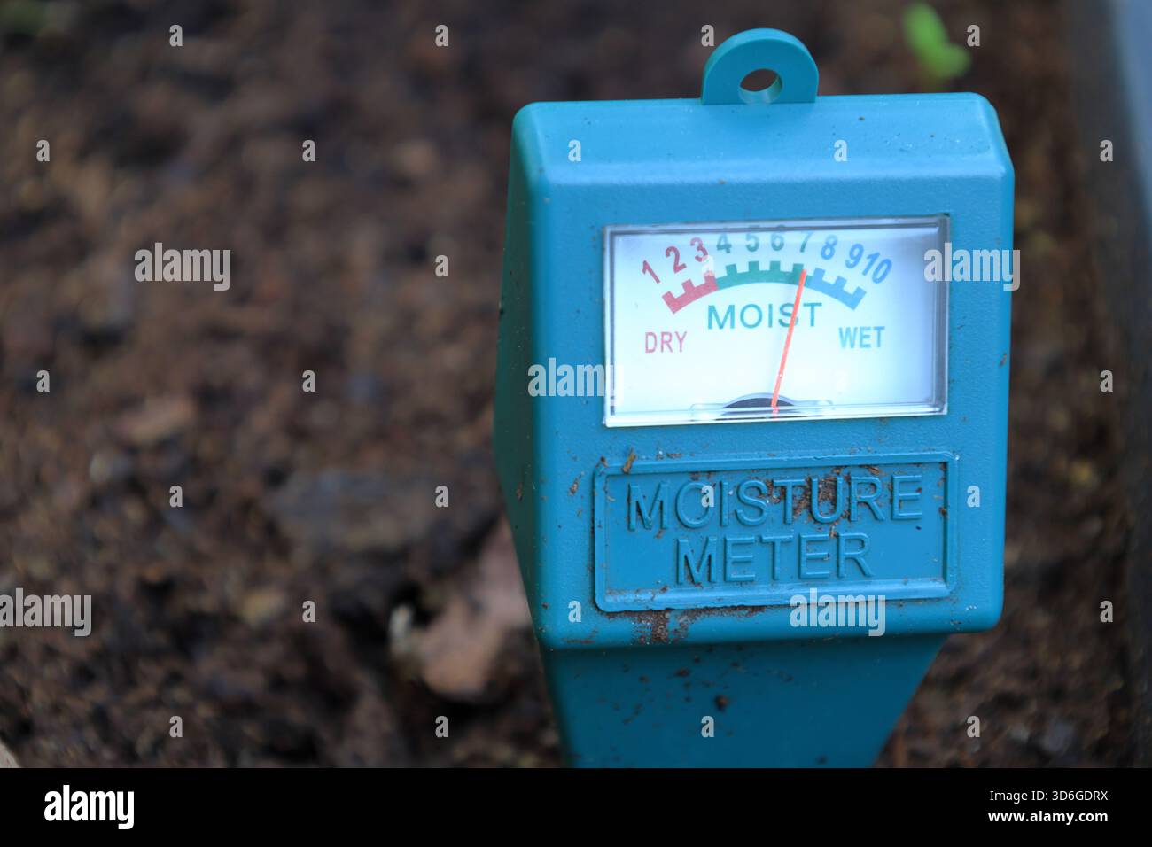 Humidimètre. Vérifie l'humidité dans le sol pour les jardins et les serres. Concept de vie agricole. Sec ou humide. Banque D'Images