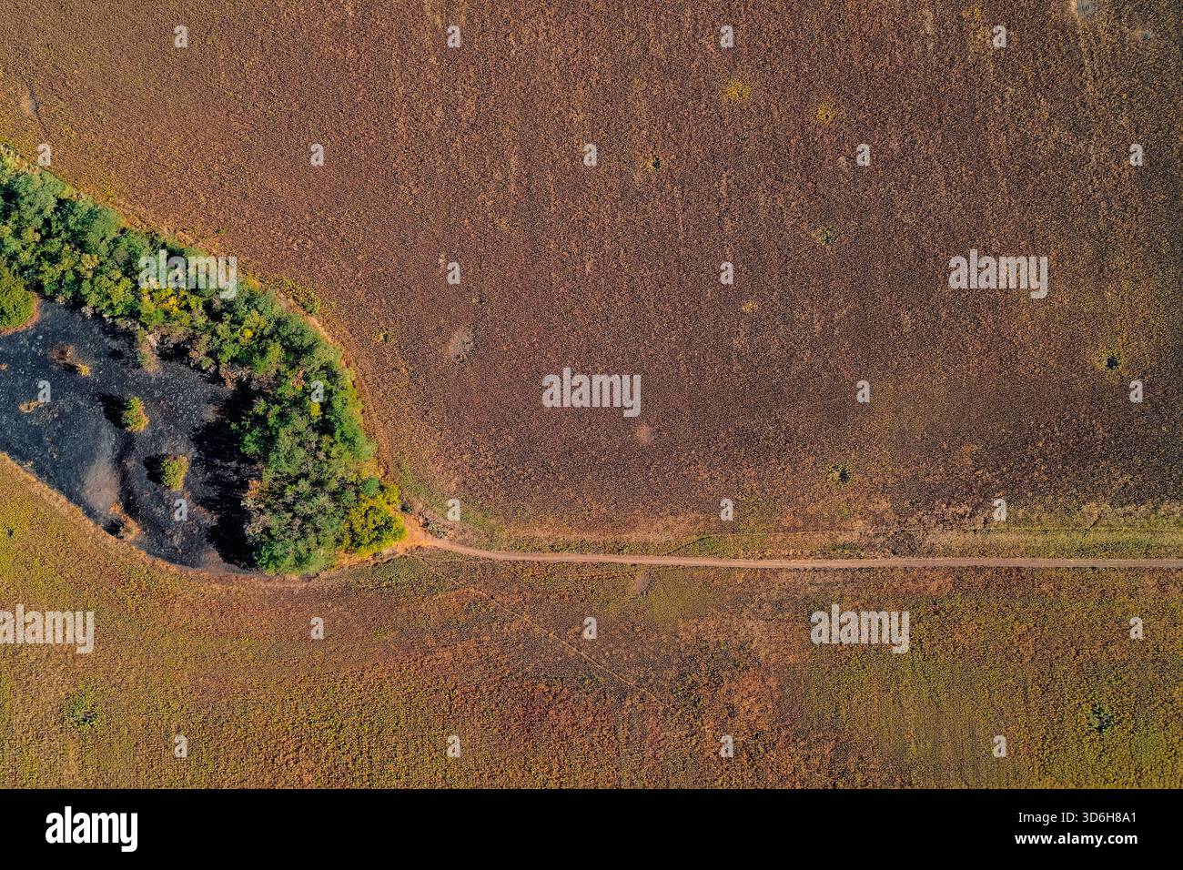 Photographie aérienne descendante capturant le contraste saisissant de l'utilisation des terres. La bordure de forêt verte courbe borde un vaste champ agricole brun rougeâtre avec un chemin de terre et de petites parcelles de terre brûlée visibles. Banque D'Images