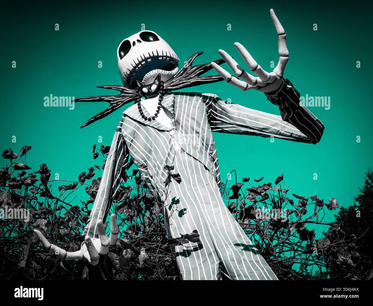Vue en bas angle d'une sculpture de cour haute de Jack Skellington dans un costume rayé, tendue avec des mains squelettiques exagérées. Ciel sarcelle - effrayant et amusant. Banque D'Images