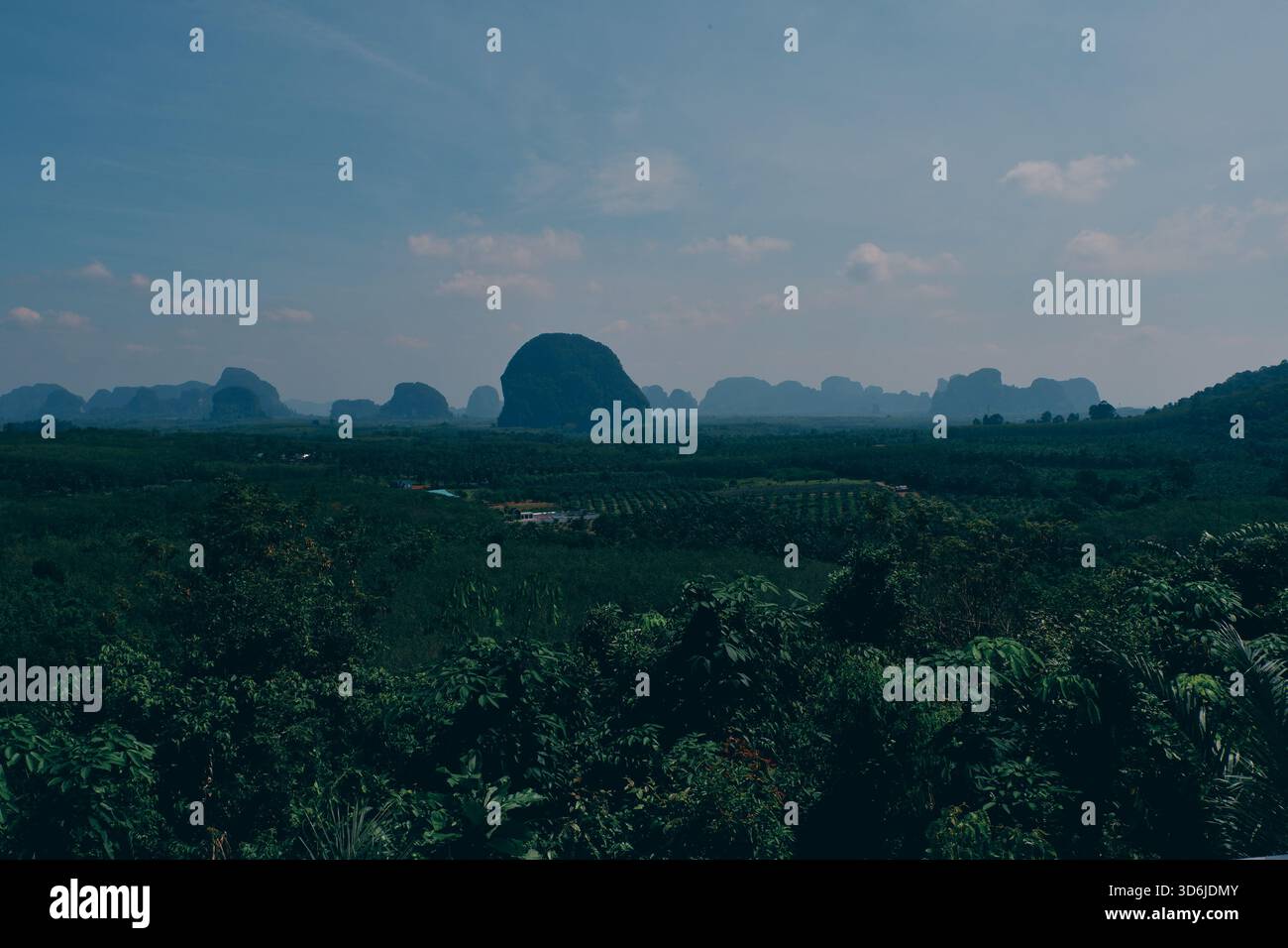 Description : un premier plan sombre et ombragé d'arbres et de plantations encadre des dômes karstiques lointains qui brillent doucement dans la lumière de fin d'après-midi. Banque D'Images