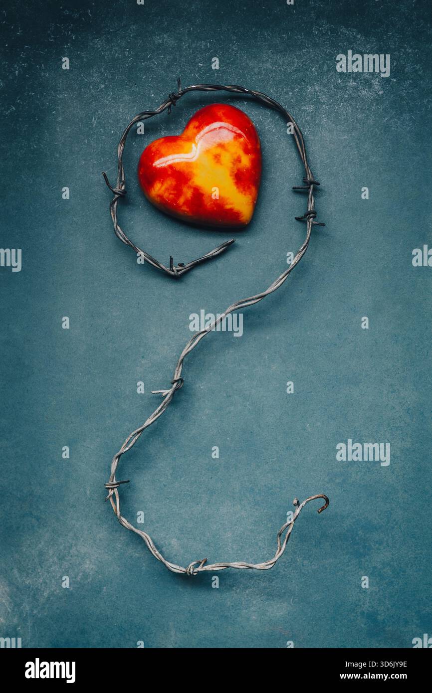Coeur rouge sur barbwire Banque D'Images