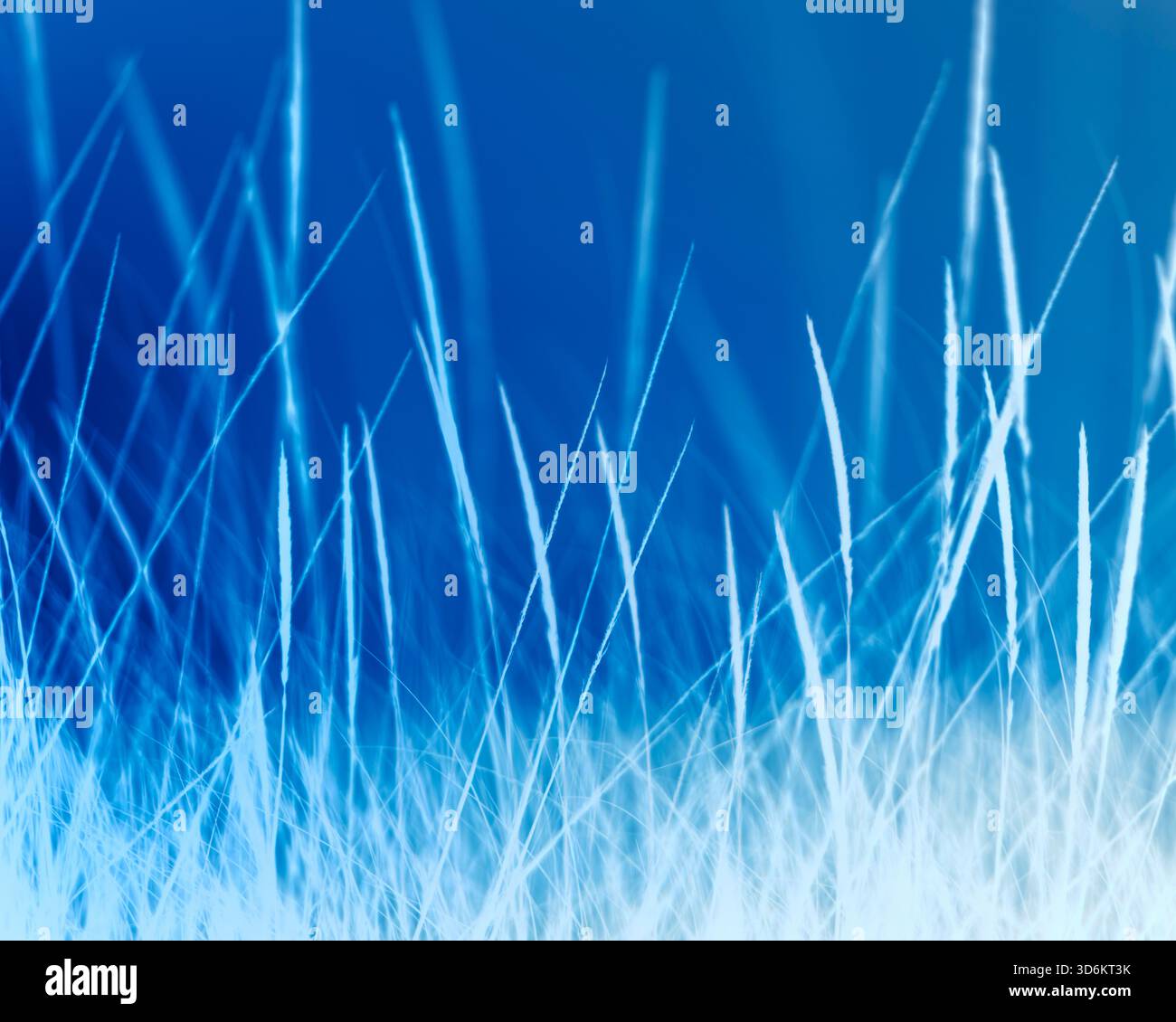 Abstrait de champ d'herbes de plage, ton bleu et argent Banque D'Images