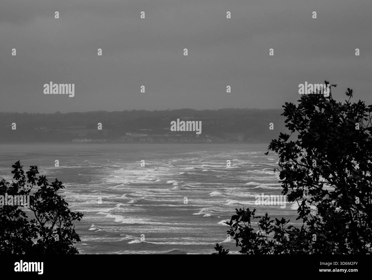 Vue côtière monotone avec des vagues brisantes roulant vers le rivage sous un ciel épais, encadré par un feuillage sombre et silhouette Banque D'Images
