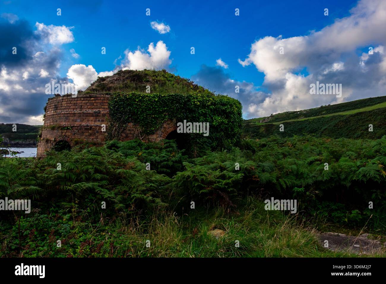 Four de ruche à Porth Wen briqueterie envahie par les plantes Banque D'Images