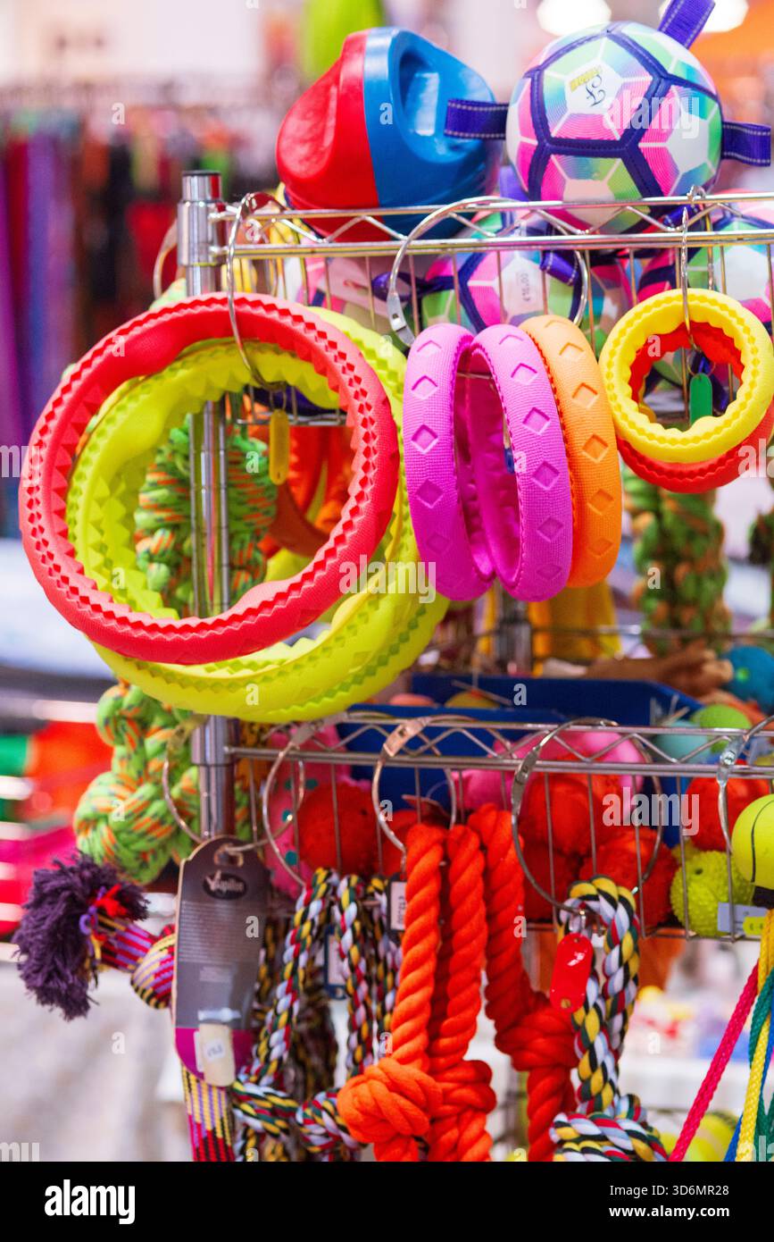 Jouets pour chiens exposés dans l'animalerie Banque D'Images