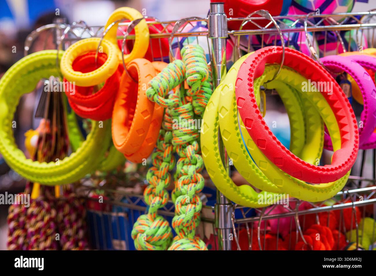 Jouets pour chiens exposés dans l'animalerie Banque D'Images