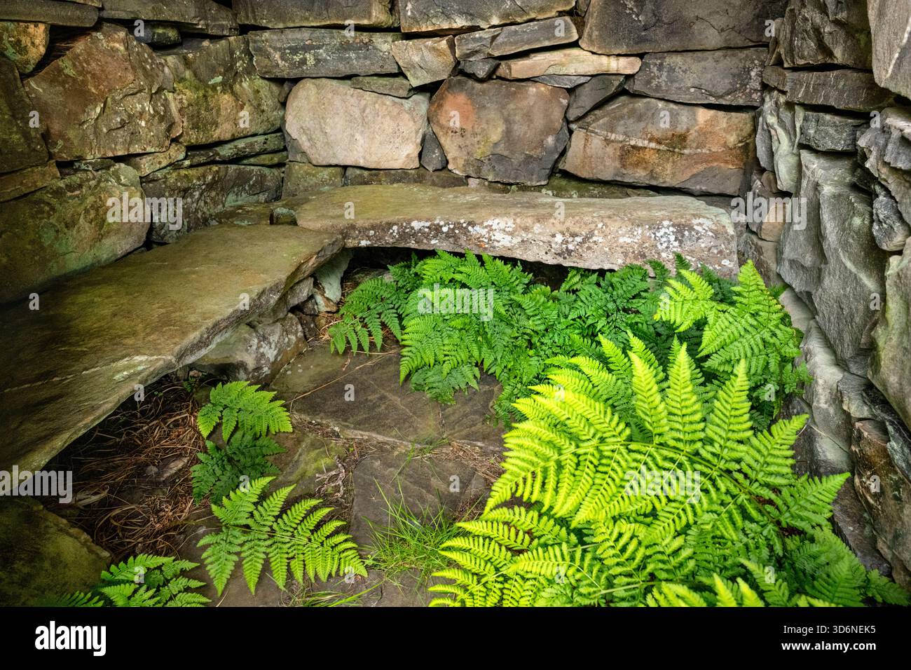À l'intérieur d'un bothy de pierre de base, ou howff, dans les montagnes près du Loch Droma dans les Highland Écosse. C'est un abri très basique avec un toit en tôle. Banque D'Images