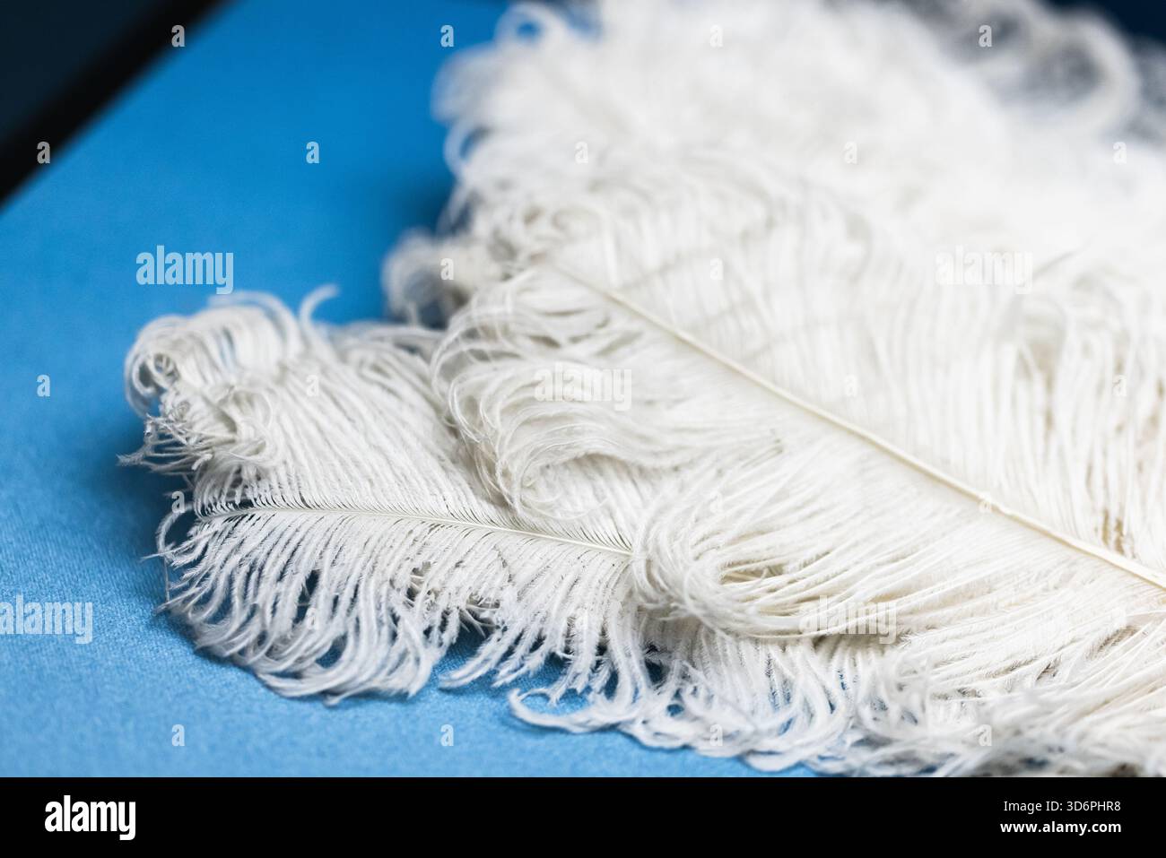 Une délicate plumes d'autruche blanche repose sur une surface bleu vif, ventilateur vintage Banque D'Images