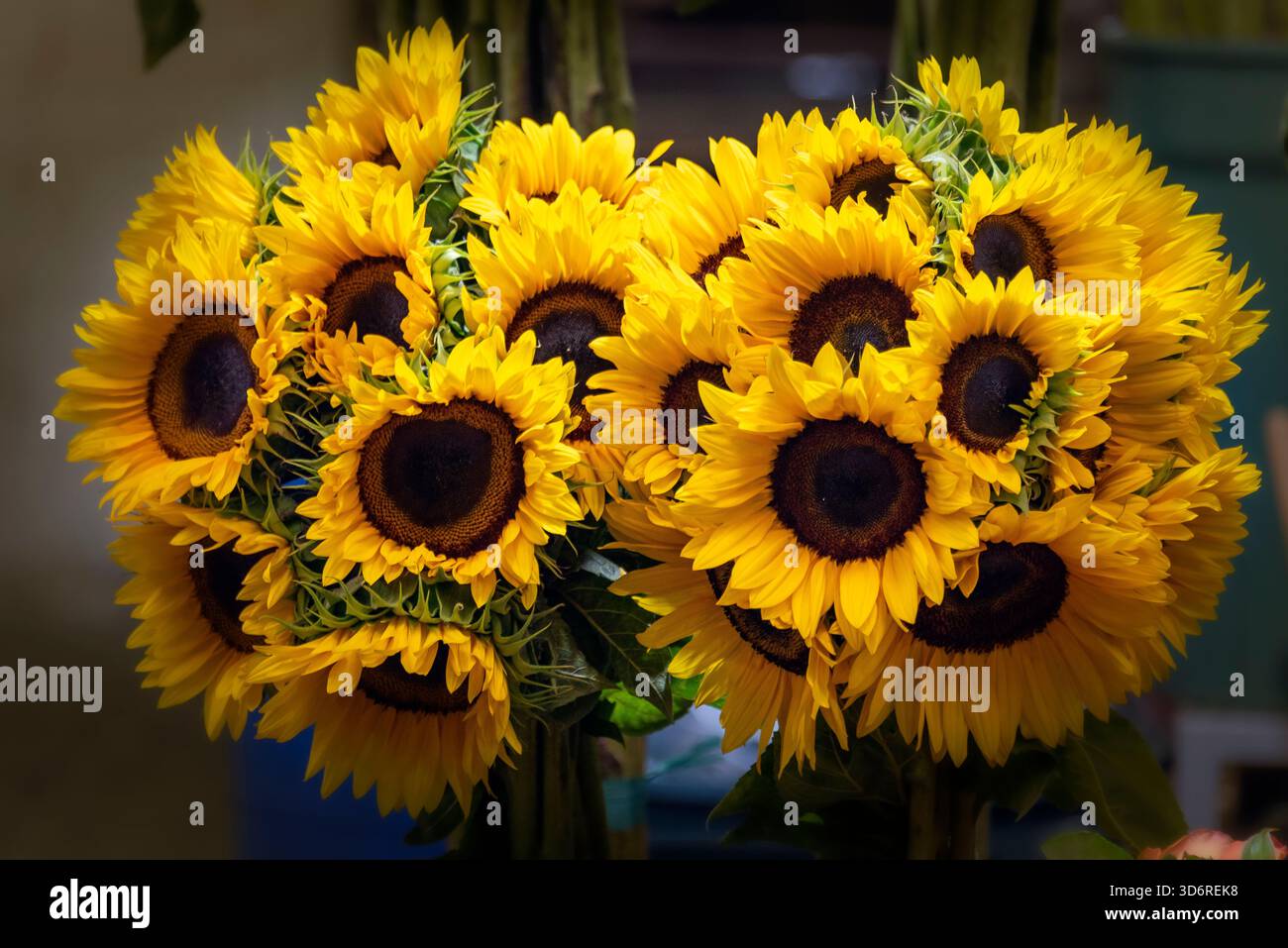 Marché aux fleurs de la Jamaïque à Mexico, Mexique Banque D'Images