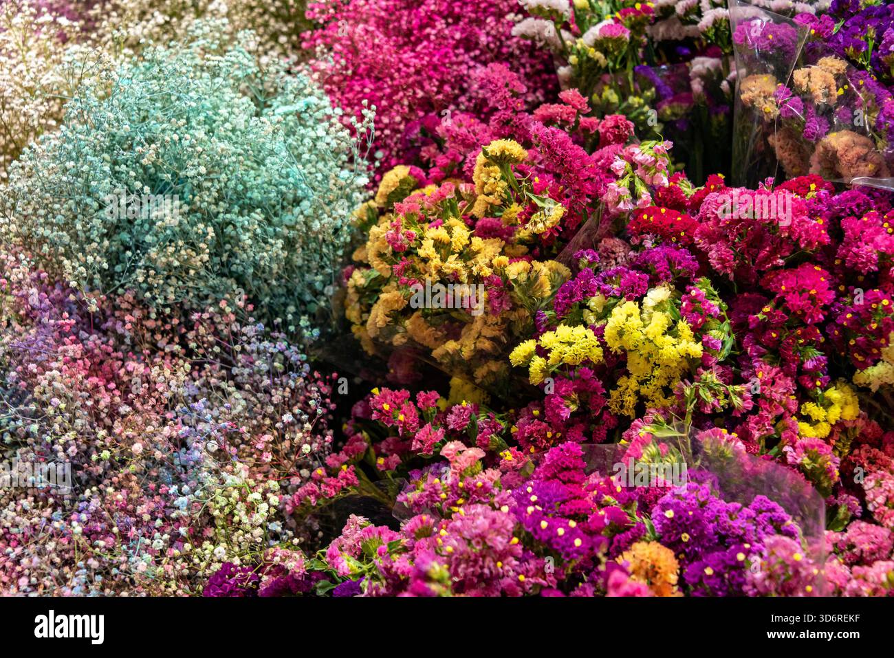 Marché aux fleurs de la Jamaïque à Mexico, Mexique Banque D'Images