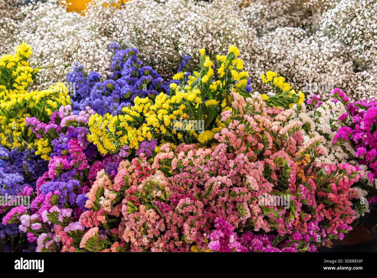 Marché aux fleurs de la Jamaïque à Mexico, Mexique Banque D'Images