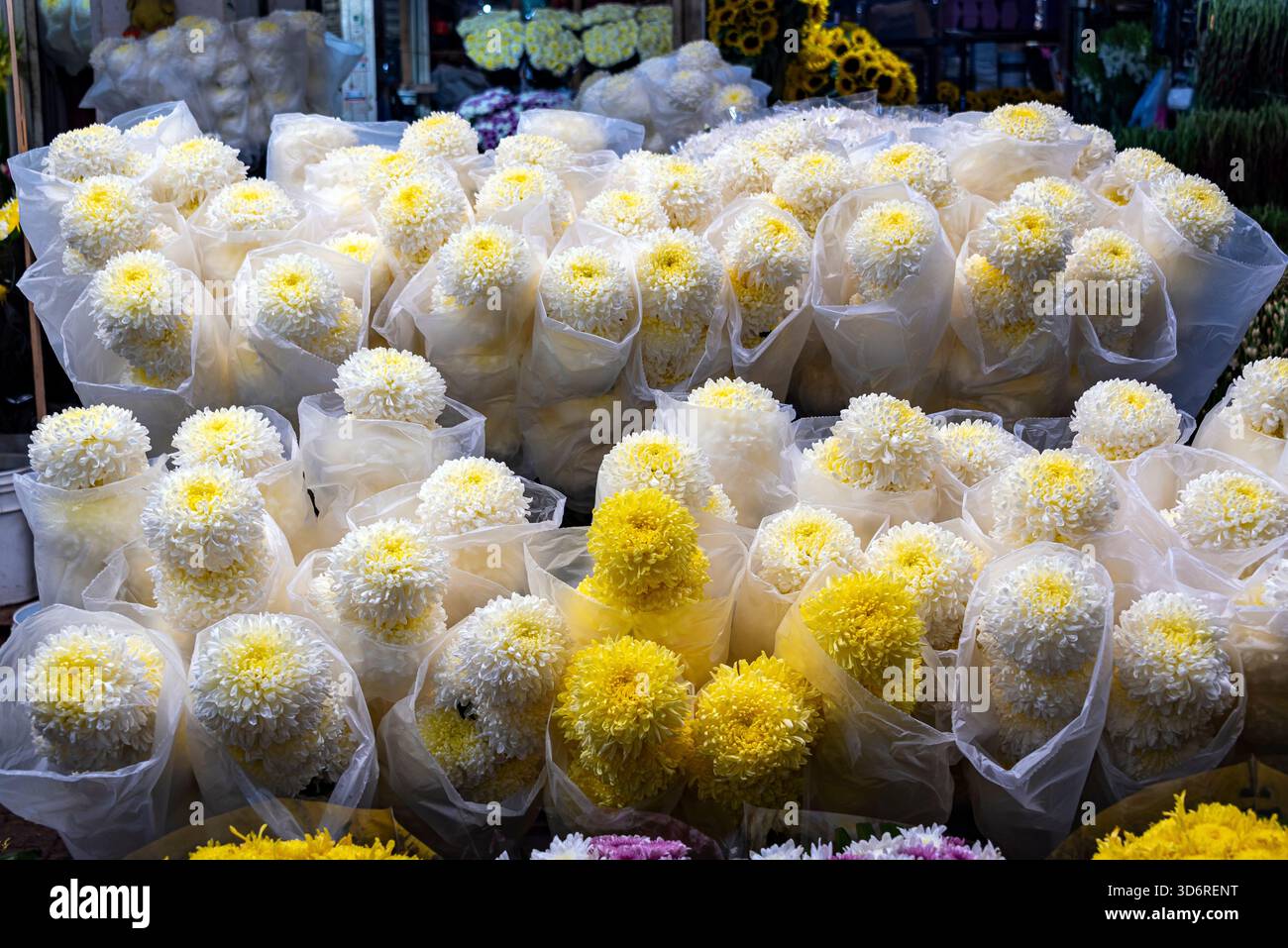 Marché aux fleurs de la Jamaïque à Mexico, Mexique Banque D'Images