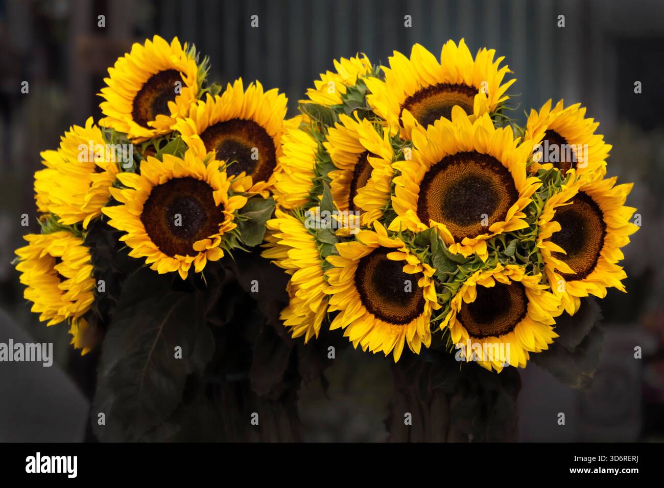 Marché aux fleurs de la Jamaïque à Mexico, Mexique Banque D'Images