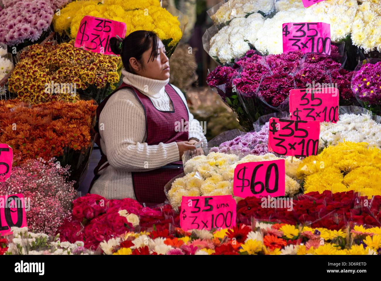 Marché aux fleurs de la Jamaïque à Mexico, Mexique Banque D'Images