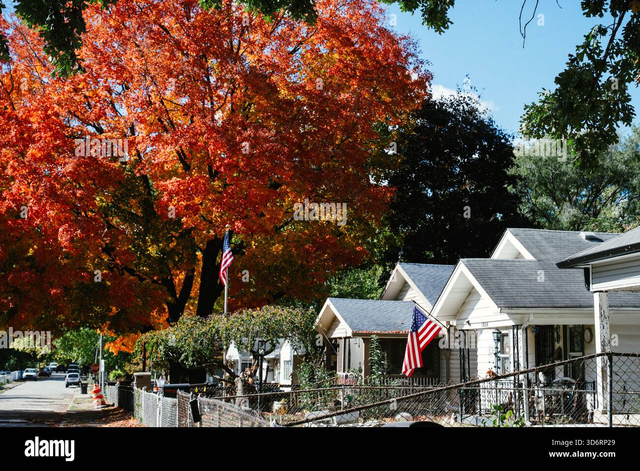 Une rangée de maisons avec drapeaux américains dans le Midwest Banque D'Images