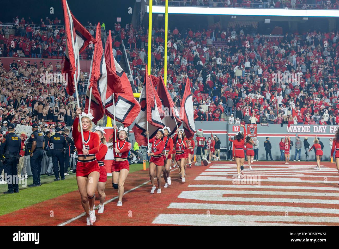 Raleigh, Caroline du Nord, États-Unis. 21 novembre 2025. Les cheerleaders Wolfpack de NC State courent les drapeaux Wolfpack dans la zone finale après un score en fin de deuxième moitié du match de football de la NCAA entre les Florida State Seminoles et le NC State Wolfpack le 21 novembre 2025 au carter-Finley Stadium à Raleigh, NC. (Crédit image : © Israel Anta via ZUMA Press Wire) USAGE ÉDITORIAL SEULEMENT ! Non destiné à UN USAGE commercial ! Banque D'Images