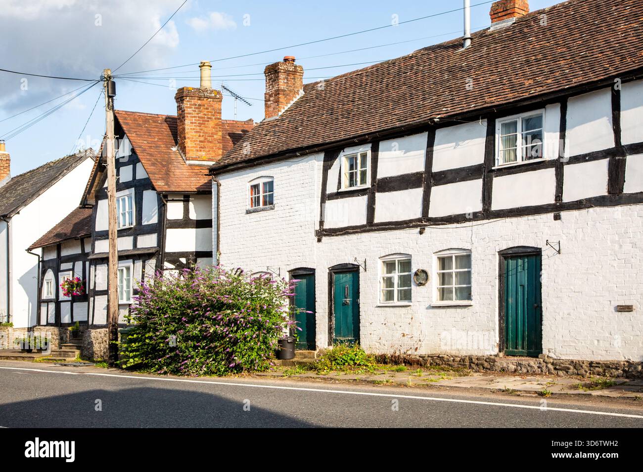 Chalets de campagne noirs et blancs dans le village de Pembridge dans le Herefordshire Banque D'Images