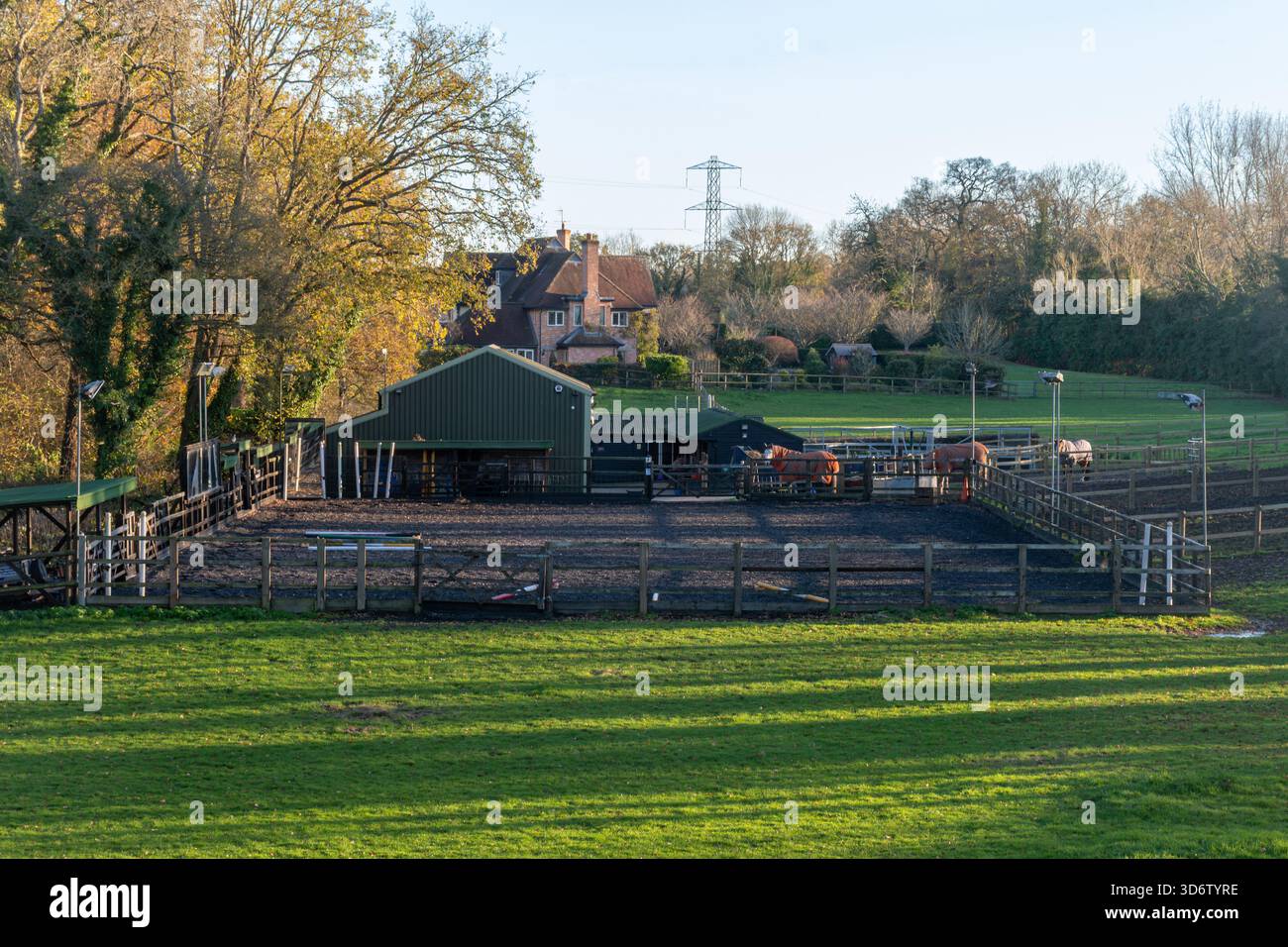 Arène d'équitation en plein air vide à l'école d'équitation, Hampshire, Angleterre, Royaume-Uni Banque D'Images