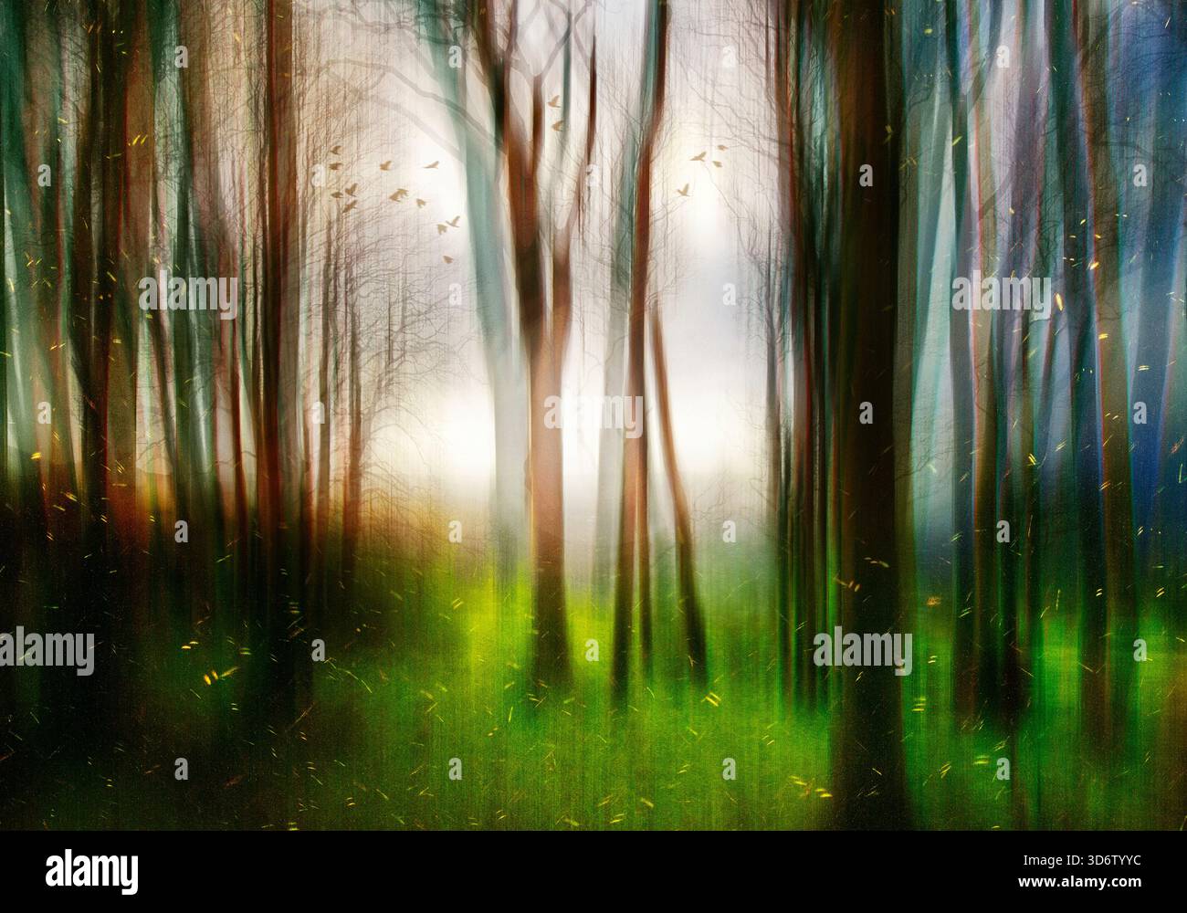 ART CONTEMPORAIN : la Forêt magique Banque D'Images
