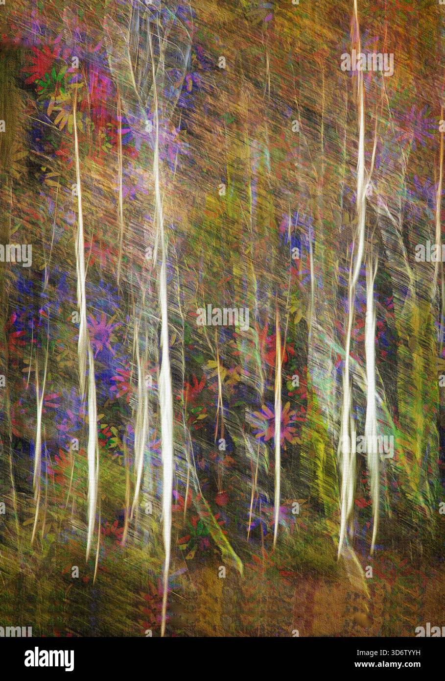 ART CONTEMPORAIN : 'Autumn Gold' de Edmund Nagele FRPS Banque D'Images