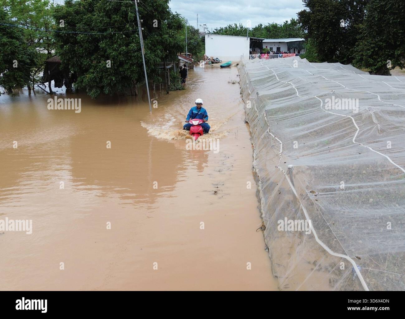 Hanoi, Vietnam. 22 novembre 2025. Cette photo prise le 22 novembre 2025 montre un homme chevauchant une route inondée dans la province de Khanh Hoa, au Vietnam. Le nombre de personnes tuées par de graves inondations dans le centre du Vietnam est passé à 72 samedi après-midi, a rapporté le quotidien local VnExpress, citant l'Autorité de gestion des catastrophes et des dykes du Vietnam. Treize personnes restent portées disparues, selon le rapport. Crédit : document distribué par VNA/Xinhua/Alamy Live News Banque D'Images