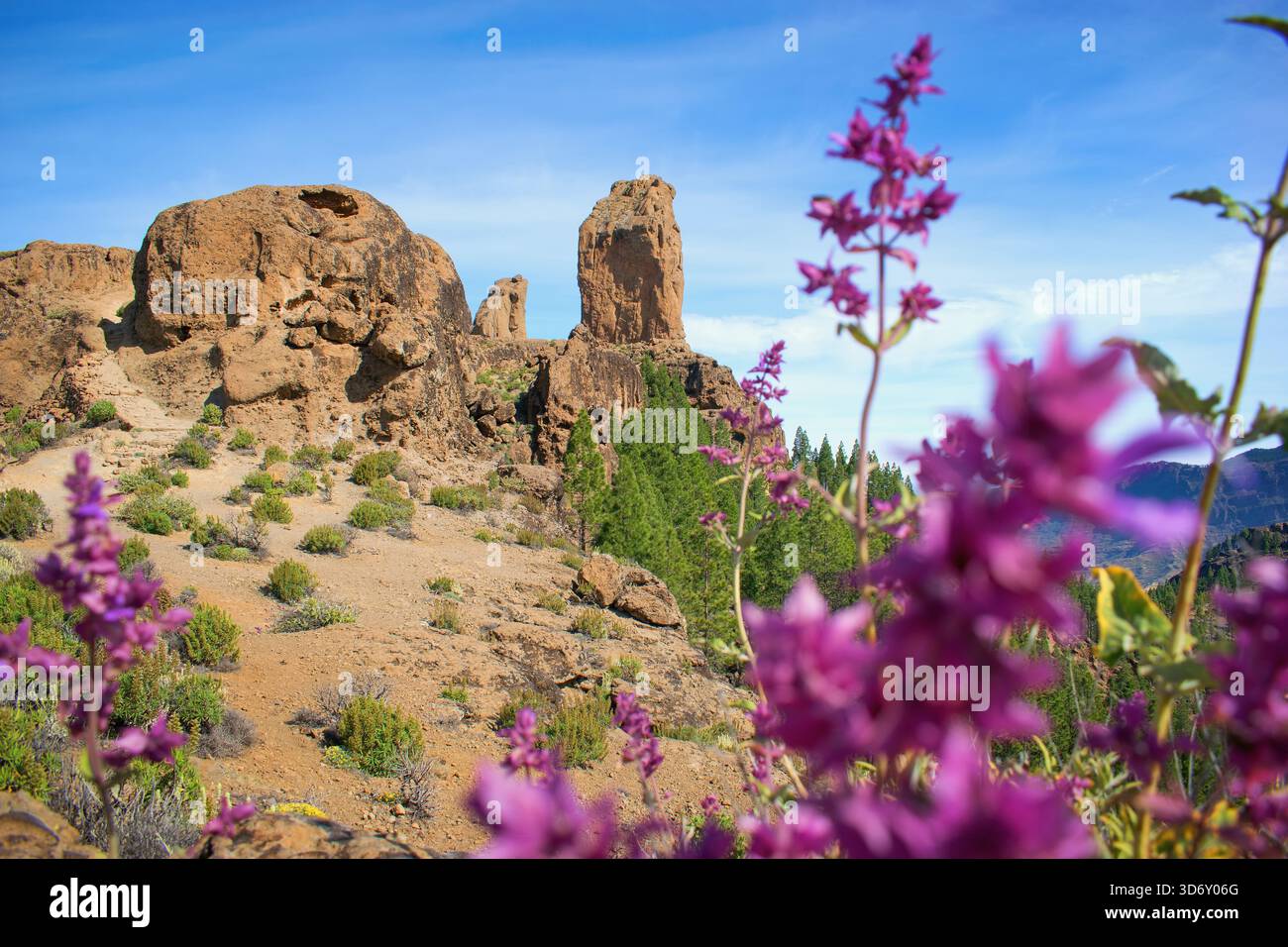 Célèbre zone de randonnée Roque Nublo, Gran Canaria, Îles Canaries, Espagne Banque D'Images