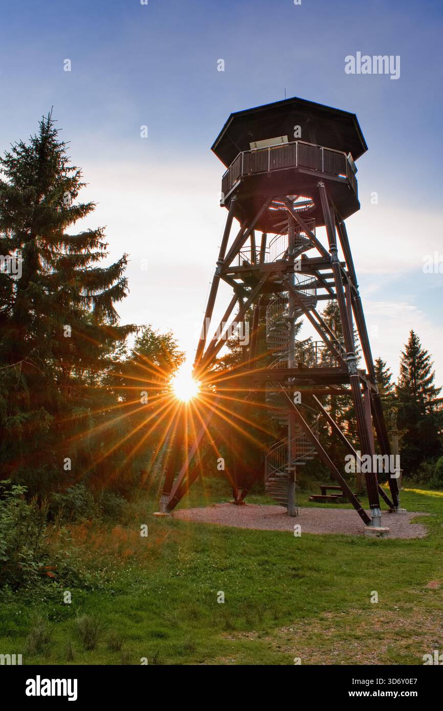 Tour de vue en bois dans la forêt à la lumière du coucher du soleil. Banque D'Images