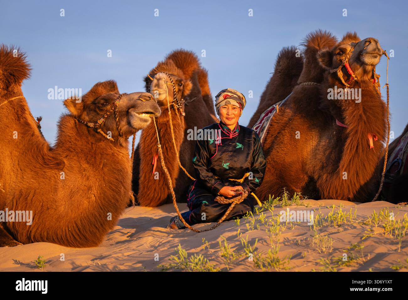 Portrait d'éleveur de chameaux sur le désert de Gobi aux dunes de sable de Khongor au coucher du soleil, Mongolie Banque D'Images