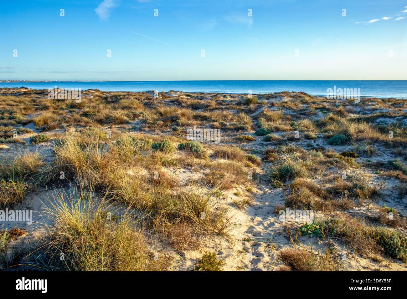 Dunes sur la plage du parc régional Las Salinas de San Pedro del Pinatar, région de Murcie Banque D'Images