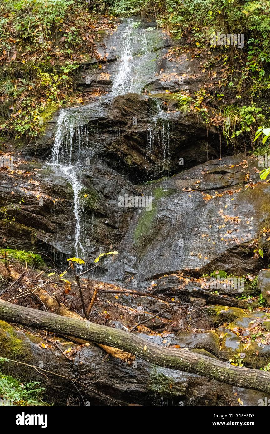 Chute d'eau en bord de route sur la route d'accès à Anna Ruby Falls à Helen, Géorgie. (ÉTATS-UNIS) Banque D'Images