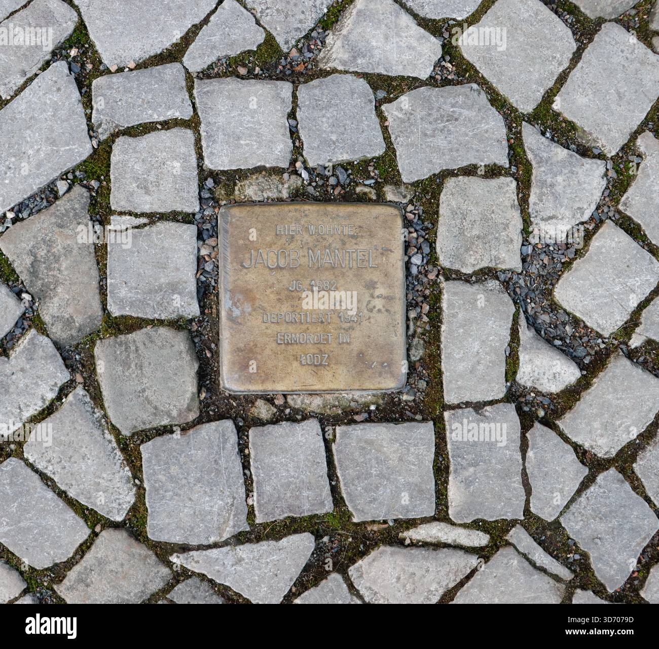 Pierres de trébuchage (Stolperstein) à Berlin, Allemagne, en février 2024. Photo de Raquel G. Frohlich. Banque D'Images