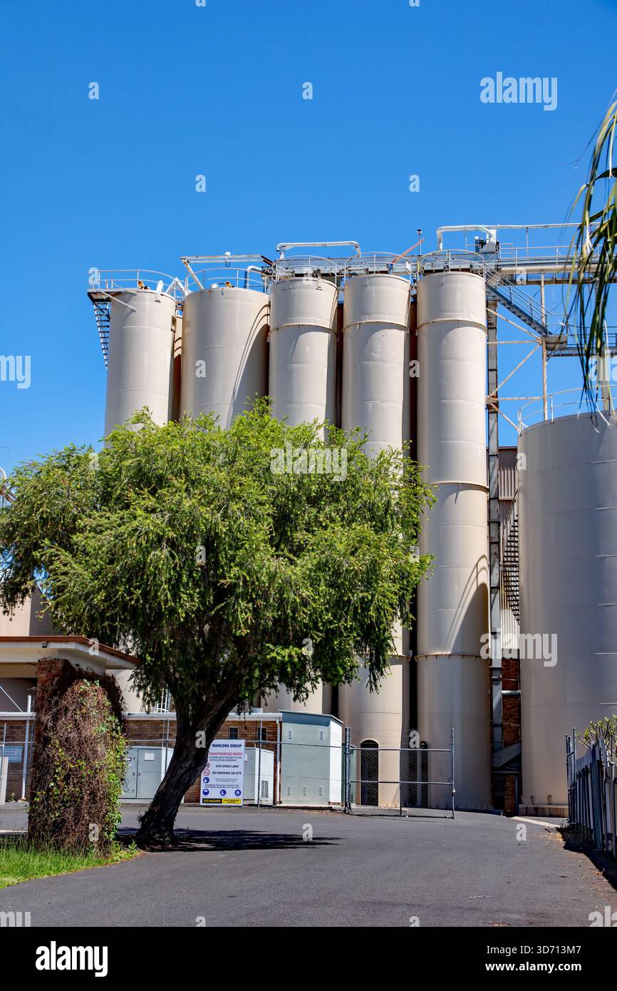 Un groupe de silos de moulin à farine à Gunnedah NSW Australie. Banque D'Images