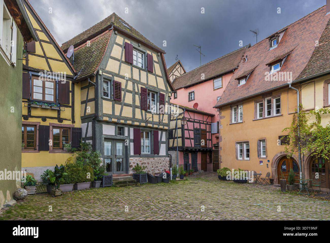 Maisons traditionnelles à colombages, Riquewihr, Haut-Rhin, Grand est, France Banque D'Images