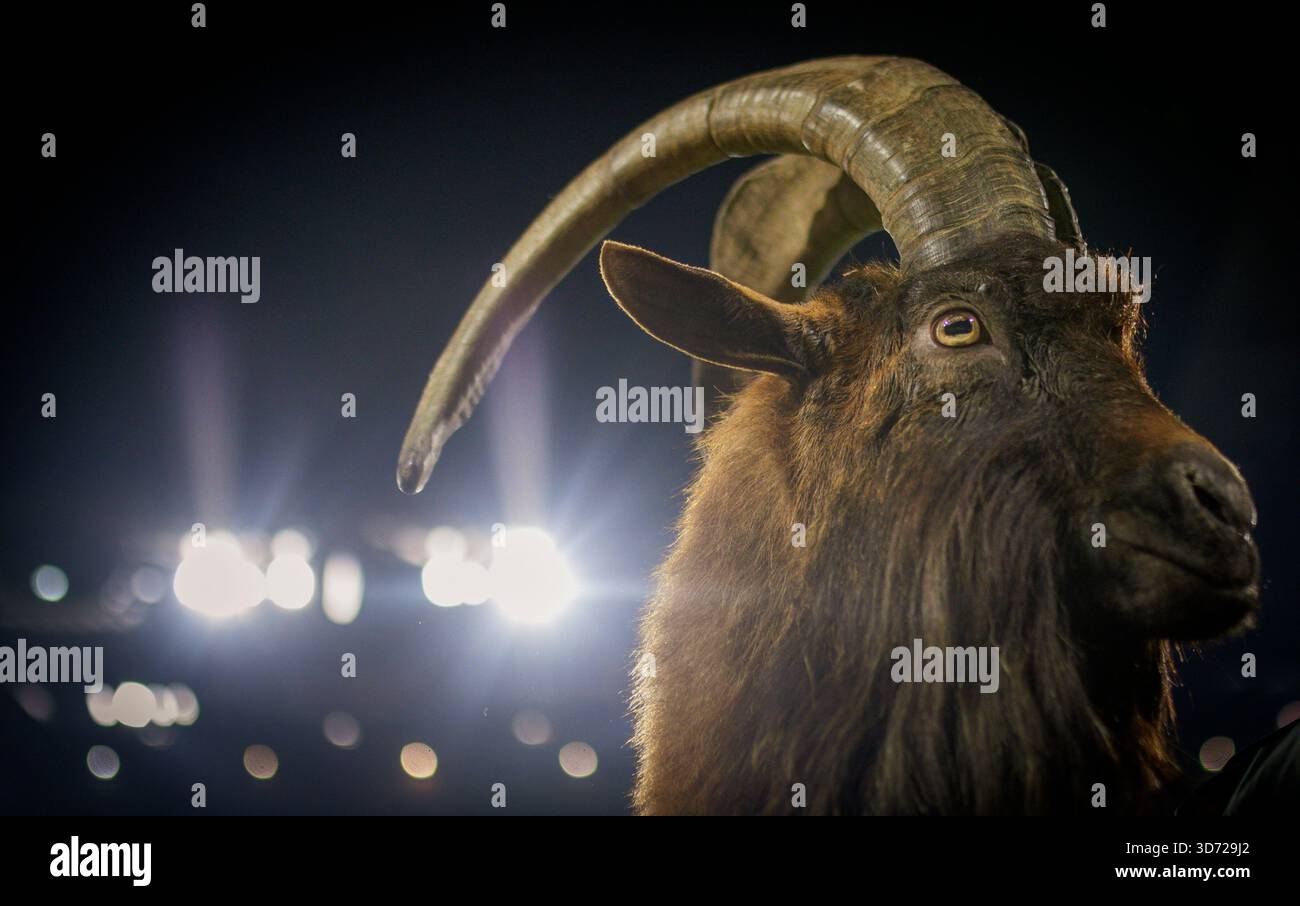 22 11 2025 Banque de photographies et d images à haute résolution Alamy