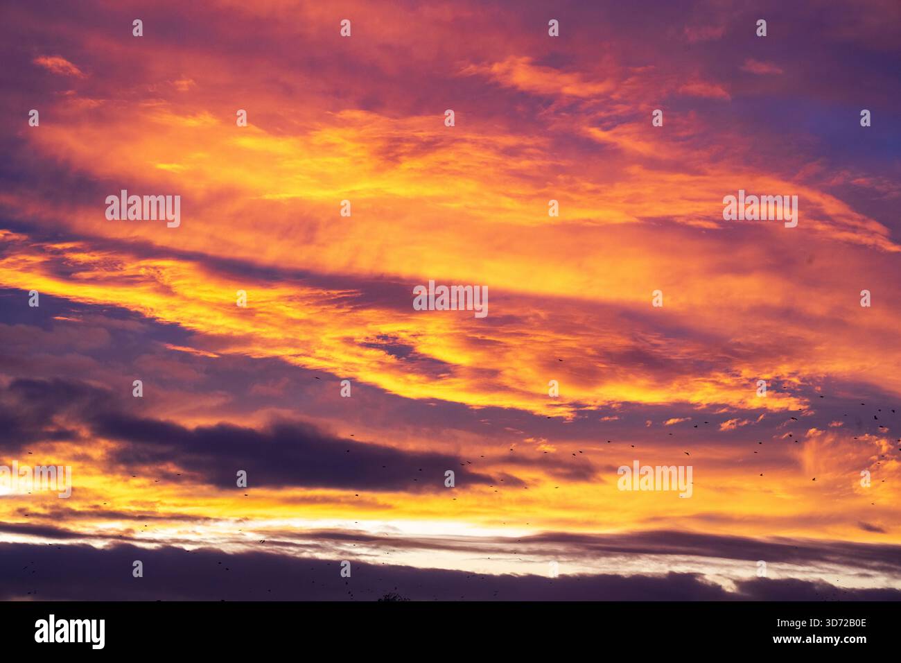 Ciel rouge dans la lumière du soir automnale. Banque D'Images