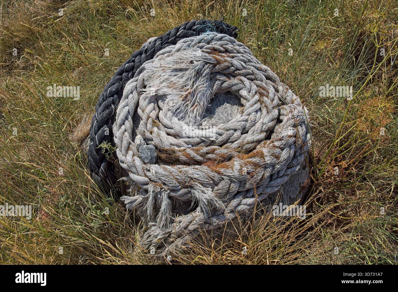Bobine d'épaisse corde nautique ou d'amarrage altérée, également connue sous le nom de Hawser couché dans l'herbe, Vilsandi, Saaremaa, Estonie. Banque D'Images