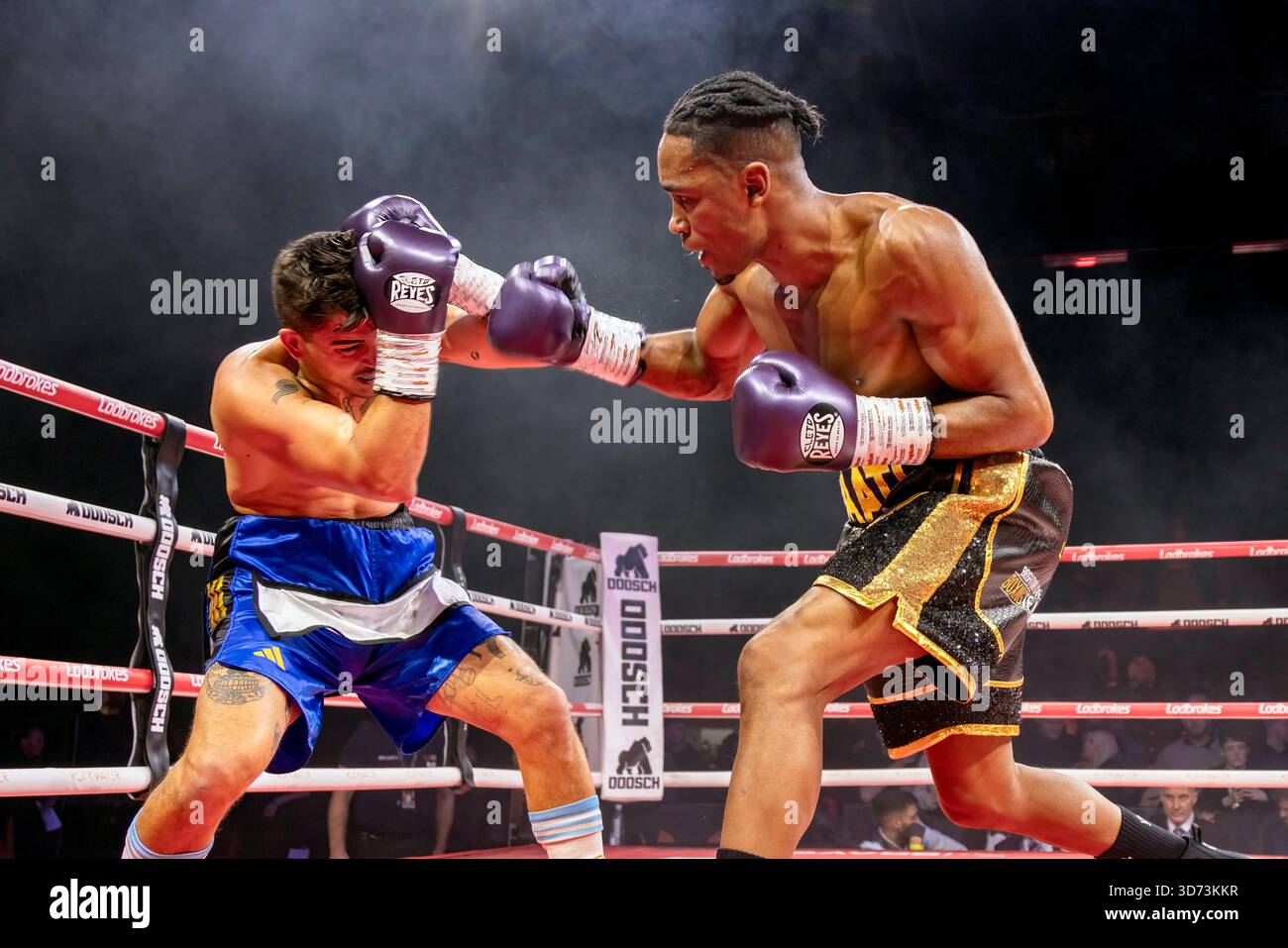 Brighton Centre, ville de Brighton & Hove, East Sussex, Royaume-Uni. Boxe sous le nom de Younes Baati (UK) vs Ezequiel Gregores (Arg) au Brighton Centre pour 8 rounds où Younes Baati a gagné avec une décision de points. 21 novembre 2025 David Smith/Alamy Banque D'Images